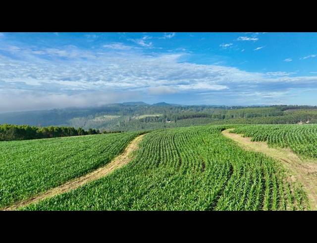 LAND FOR SALE IN MOUNT VERDE